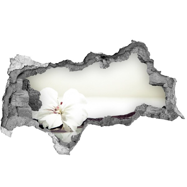 3d lyuk fal dekoráció Virágos kilátás a falon keresztül