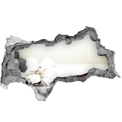 3d lyuk fal dekoráció Virágos kilátás a falon keresztül