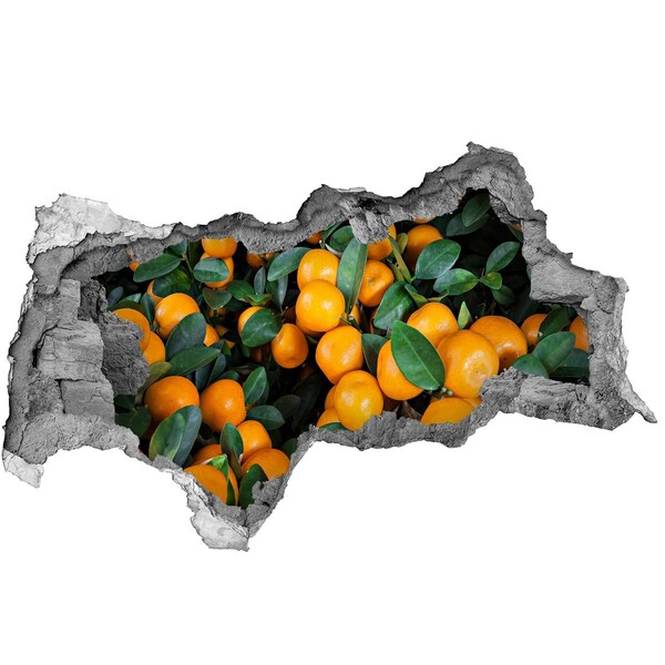 3d lyuk fal dekoráció Gyümölcs a narancsos kertben