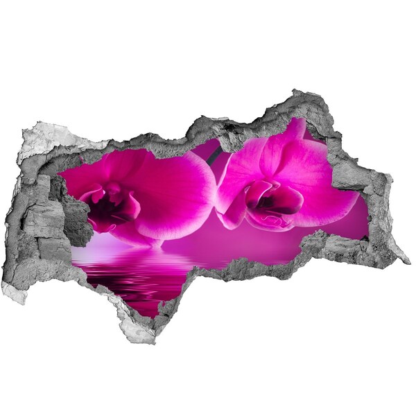 3d lyuk fal dekoráció Orchidea