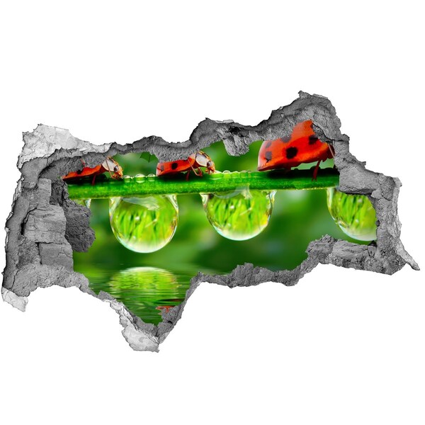 3d lyuk fal dekoráció Egy csepp természet egy katicabogárral