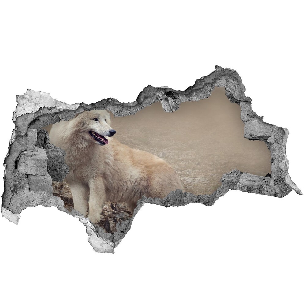 3d lyuk fal dekoráció Fehér farkas a rock
