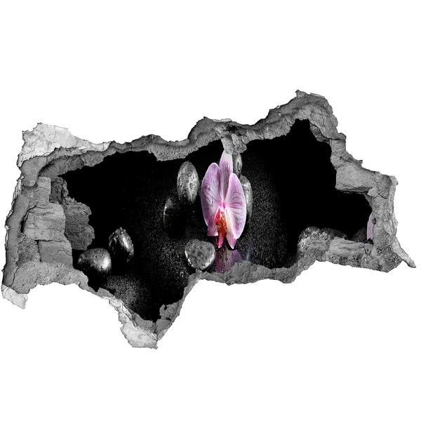 3d lyuk fal dekoráció Orchidea