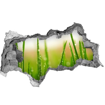 3d lyuk fal dekoráció Zöld rét vízcseppekkel