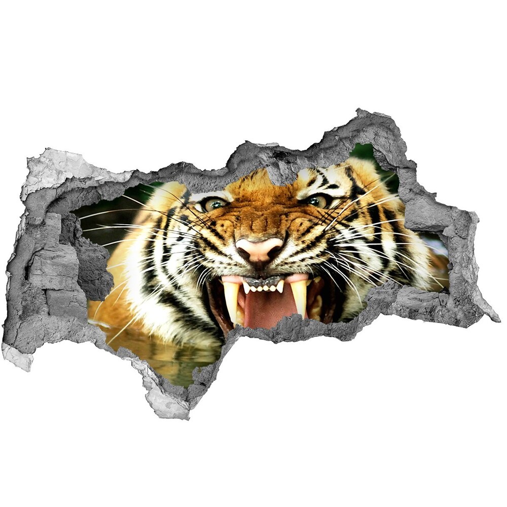 3d lyuk fal dekoráció Ordító tigris