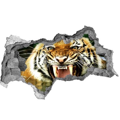 3d lyuk fal dekoráció Tigris akcióban