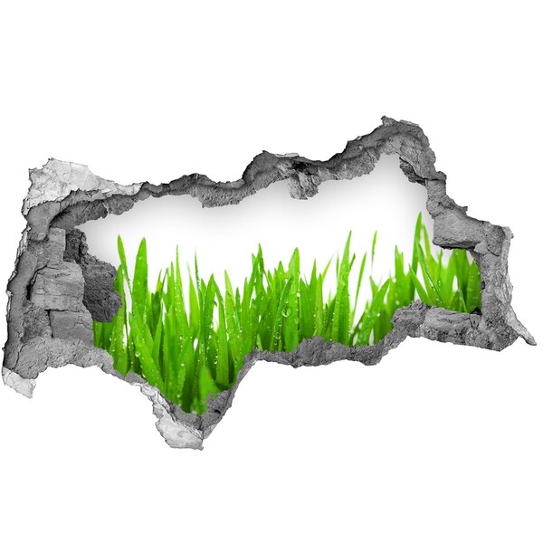 3d lyuk fal dekoráció Zöld rét egy lyukon keresztül a falon