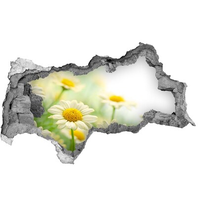 3d lyuk fal dekoráció Virágparadicsom a fal mögött