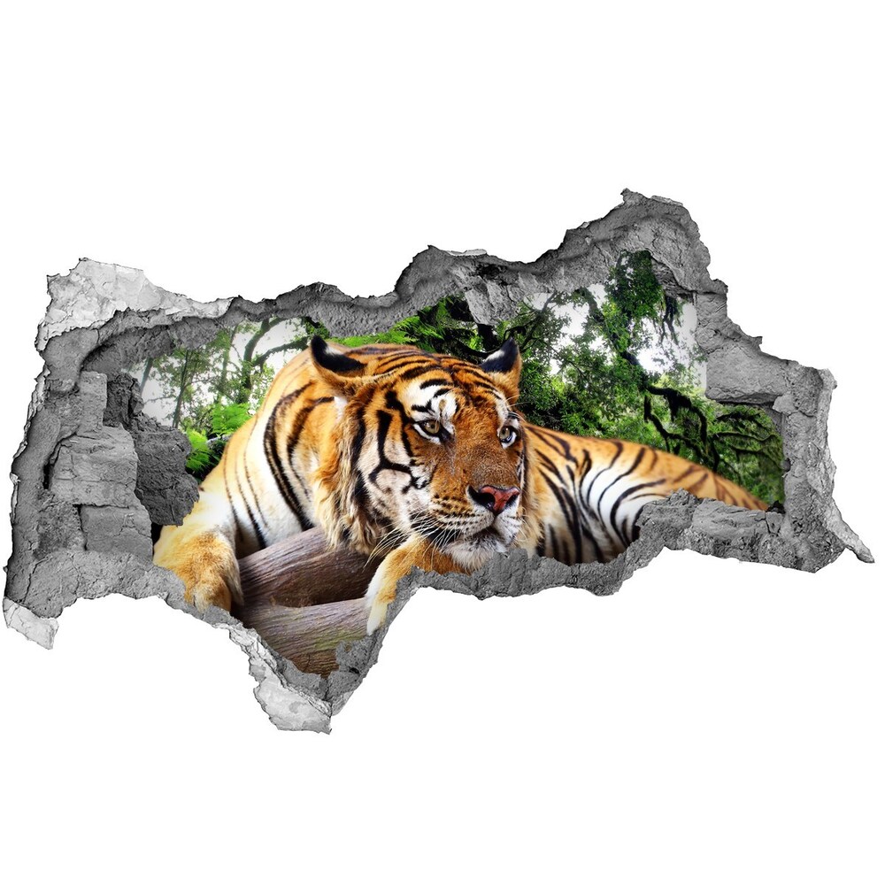 3d lyuk fal dekoráció Tiger a rock