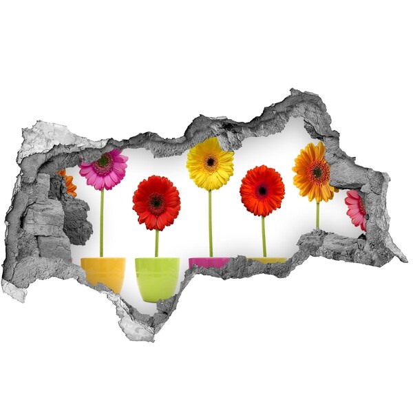 3d-s lyukat fali matrica Virágok cserepekben egy lyukon keresztül a falon