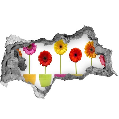 3d-s lyukat fali matrica Virágok cserepekben egy lyukon keresztül a falon