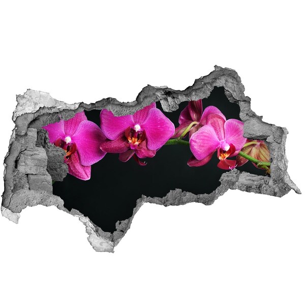 3d-s lyukat fali matrica Orchidea a falon keresztül