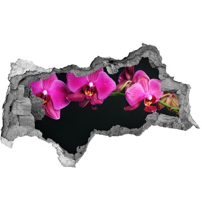 3d-s lyukat fali matrica Orchidea a falon keresztül
