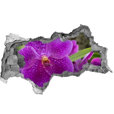 3d-s lyukat fali matrica Orchidea