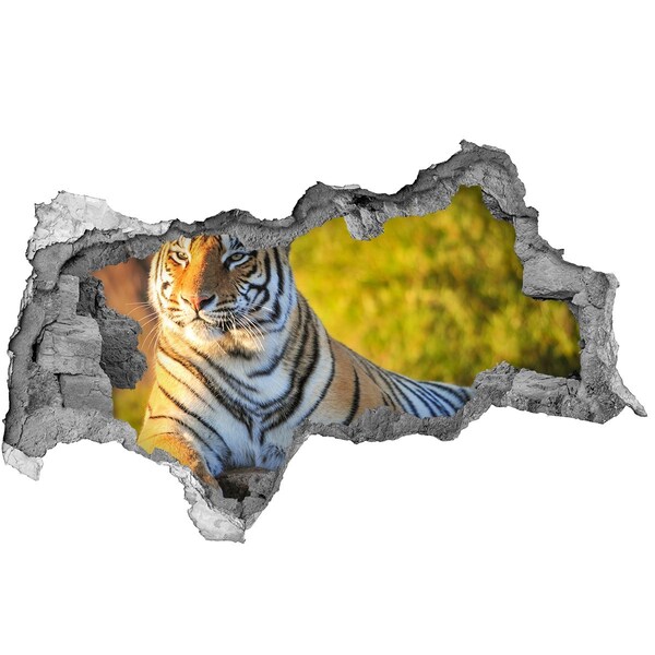 3d-s lyukat fali matrica Portré egy tigris