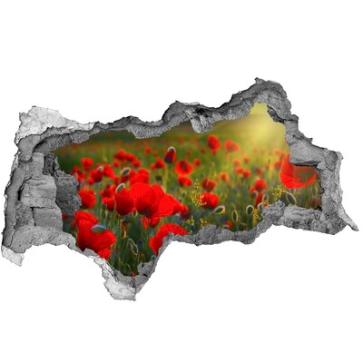 3d-s lyukat fali matrica Egy virágos paradicsom, amiben mindenütt ott van a lyuk