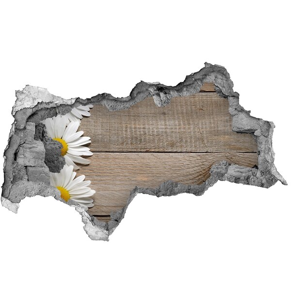 3d-s lyukat fali matrica Sérült fal fa háttérrel