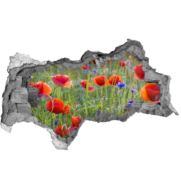 3d-s lyukat fali matrica Virágparadicsom a fal mögött