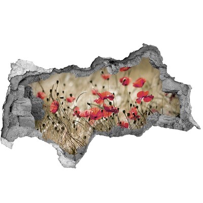 3d-s lyukat fali matrica Virágparadicsom a beton között