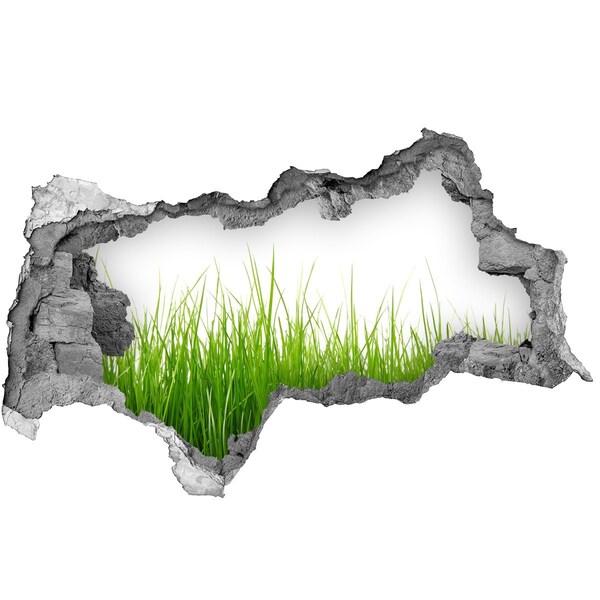 3d-s lyukat fali matrica Zöld rét a fal mögött