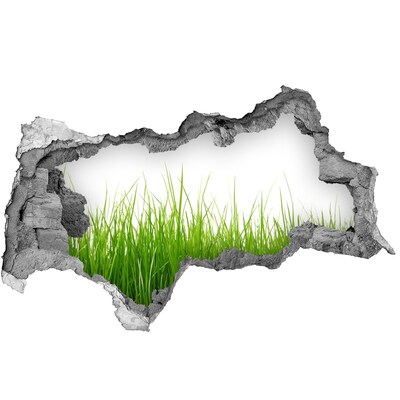 3d-s lyukat fali matrica Zöld rét a fal mögött