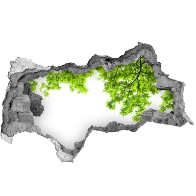 3d-s lyukat fali matrica Zöld oázis a fal mögött