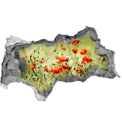 3d-s lyukat fali matrica Virágparadicsom a pipacsok között
