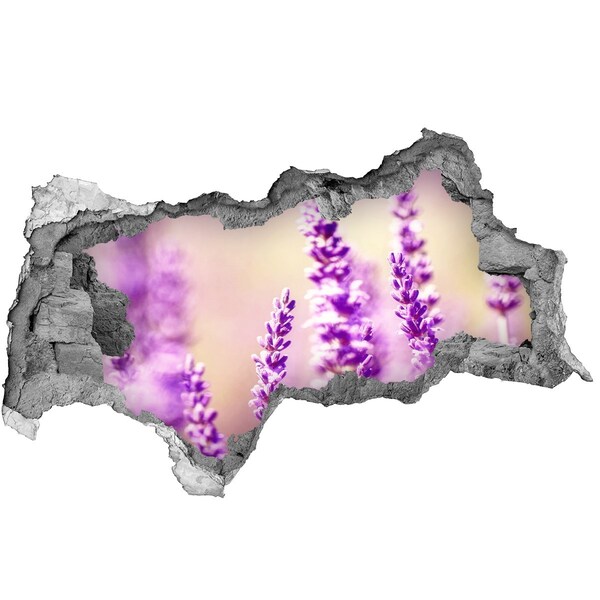 3d-s lyukat fali matrica Levendulavirág egy törött falban