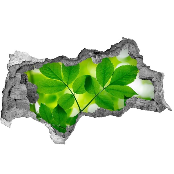 3d-s lyukat fali matrica Egy zöld oázis betonban