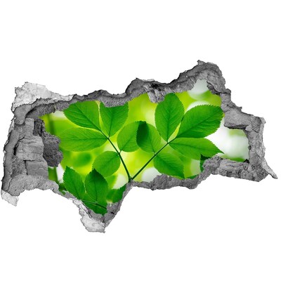 3d-s lyukat fali matrica Egy zöld oázis betonban