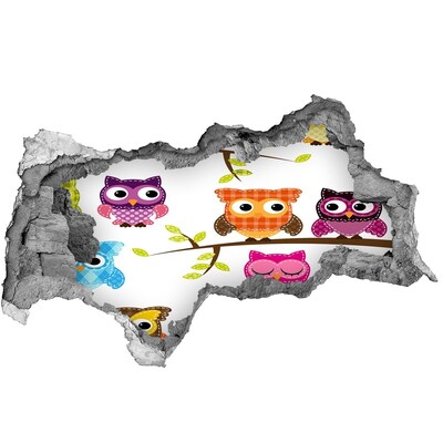 3d-s lyukat fali matrica Színes baglyok egy ágon