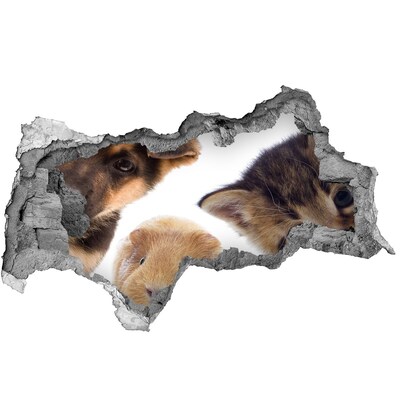 3d-s lyukat fali matrica Állatok a falon túlról