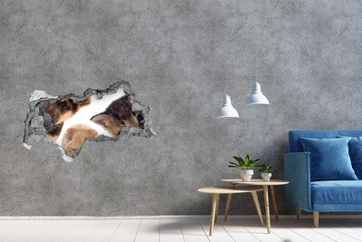 3d-s lyukat fali matrica Állatok a falon túlról