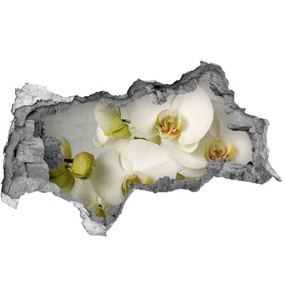 3d-s lyukat fali matrica Fehér orchidea