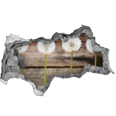 3d-s lyukat fali matrica Pitypang virágok romokban