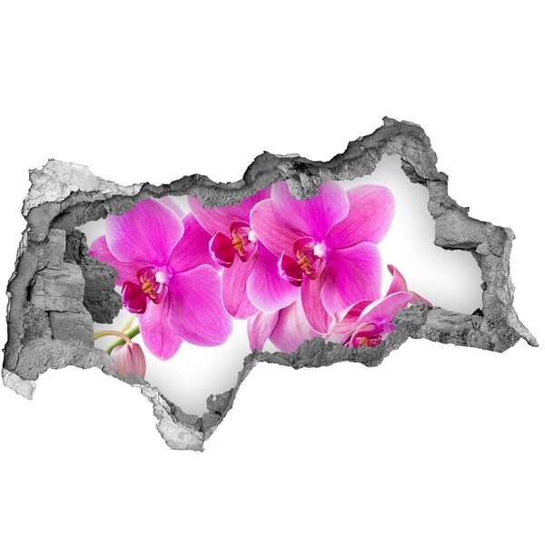 3d-s lyukat fali matrica Rózsaszín orchidea