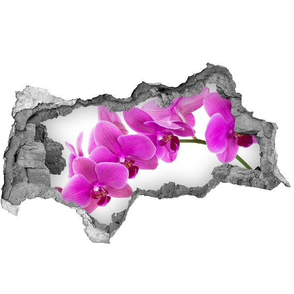 3d-s lyukat fali matrica Rózsaszín orchidea