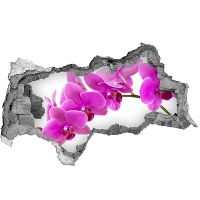 3d-s lyukat fali matrica Orchideák egy lyukon keresztül a falon