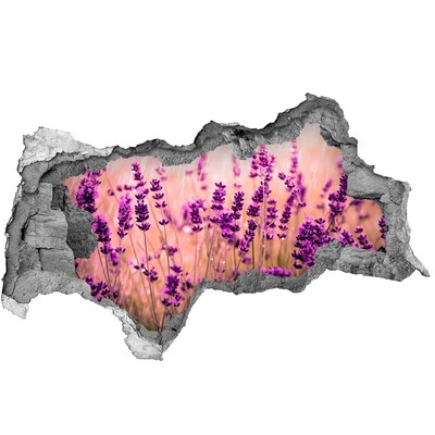 3d-s lyukat fali matrica Levendula