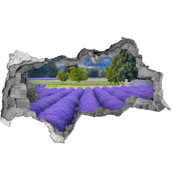 3d-s lyukat fali matrica Levendulaföldek Provence-ban