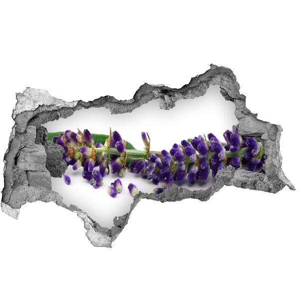 3d-s lyukat fali matrica Levendulavirág egy lyukon keresztül a falon