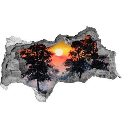 3d-s lyukat fali matrica Sunset erdő