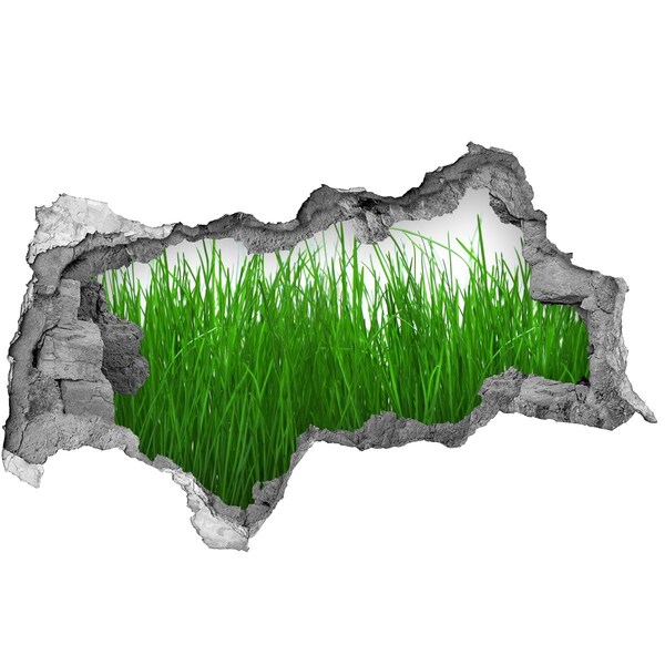 3d-s lyukat fali matrica Zöld rét egy lyukon keresztül a falon