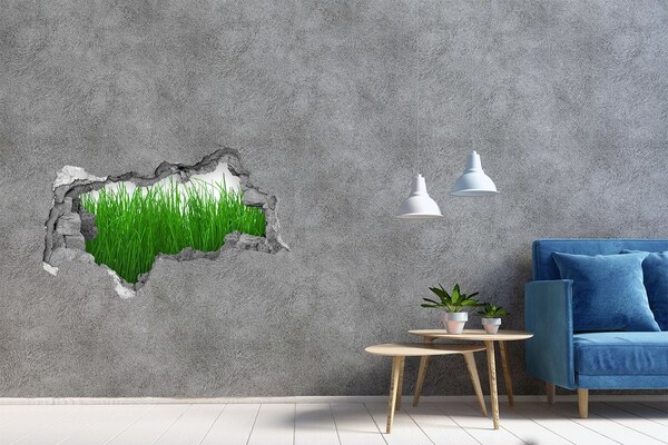 3d-s lyukat fali matrica Zöld rét egy lyukon keresztül a falon