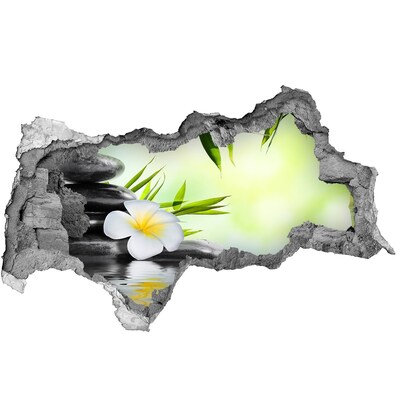 3d-s lyukat fali matrica A béke oázisa a természetben