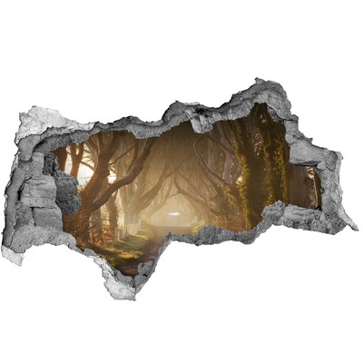 3d-s lyukat fali matrica Egy ösvény a fák között