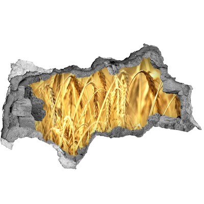 3d-s lyukat fali matrica Aranyló szemek a napsütésben