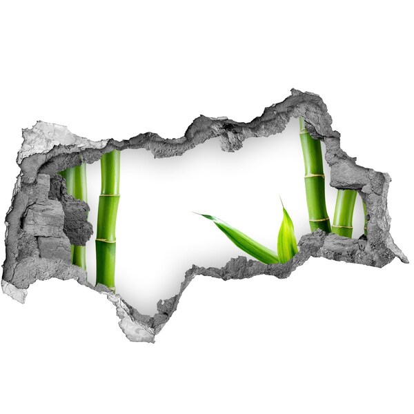 3d-s lyukat fali matrica Zöld növény egy lyukon keresztül a falon