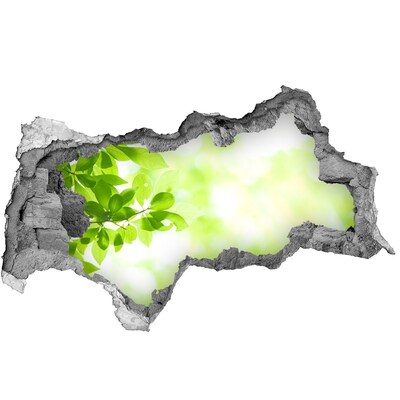 3d-s lyukat fali matrica Zöld paradicsom a fal mögött