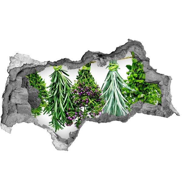 3d-s lyukat fali matrica Lyuk a falban gyógynövénykert